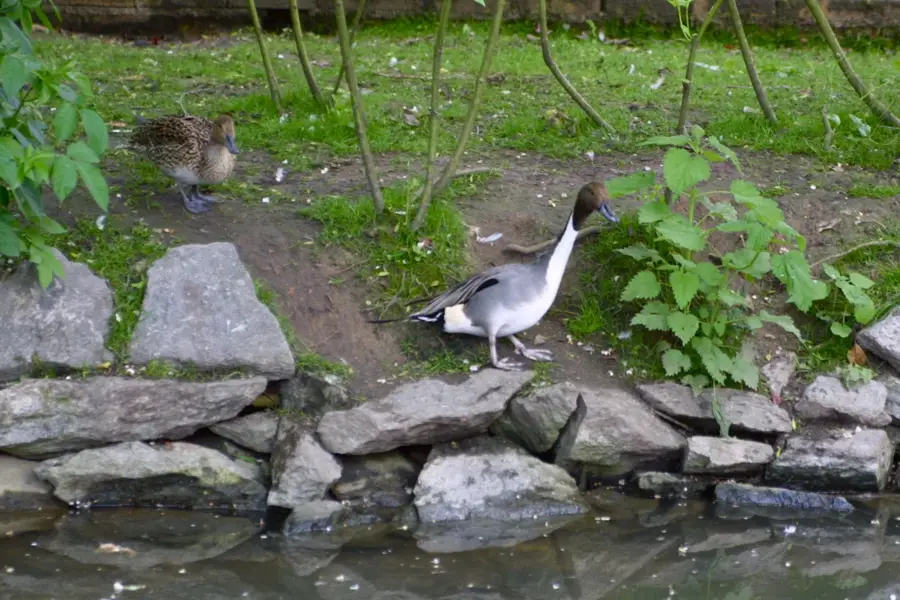 ZooParc de Beauval