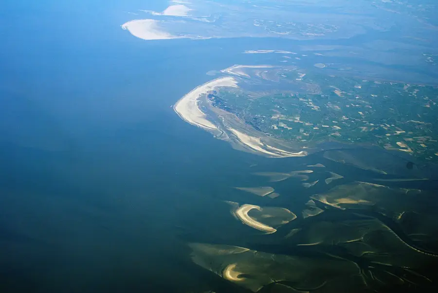 Wadden Sea – Seals