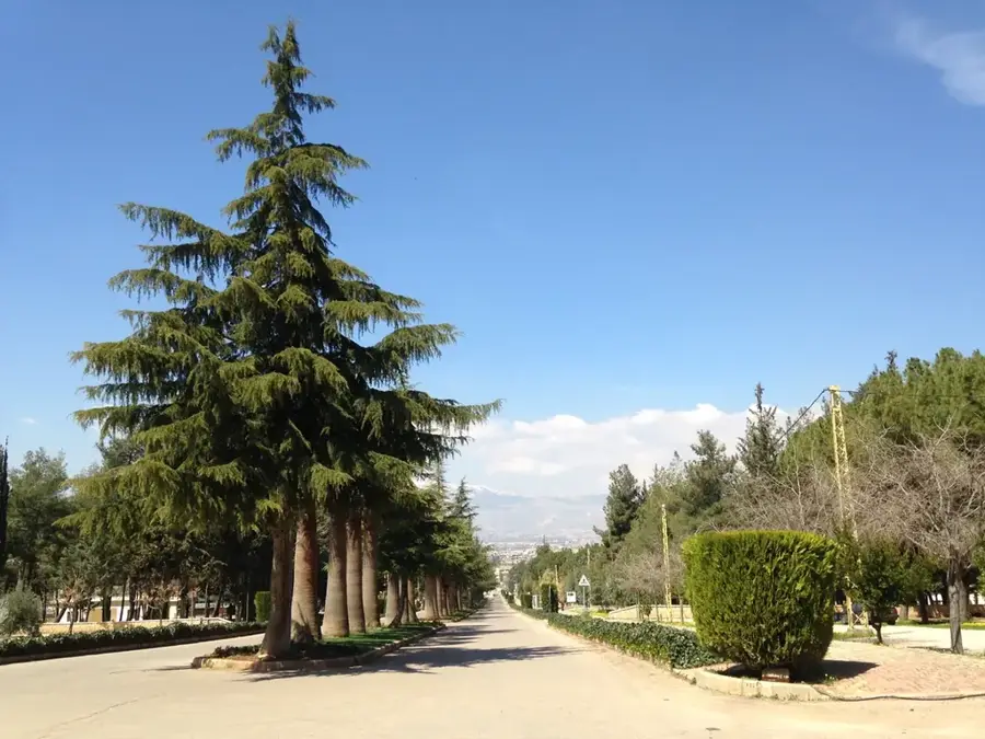 Umayyaden-Stadt Anjar