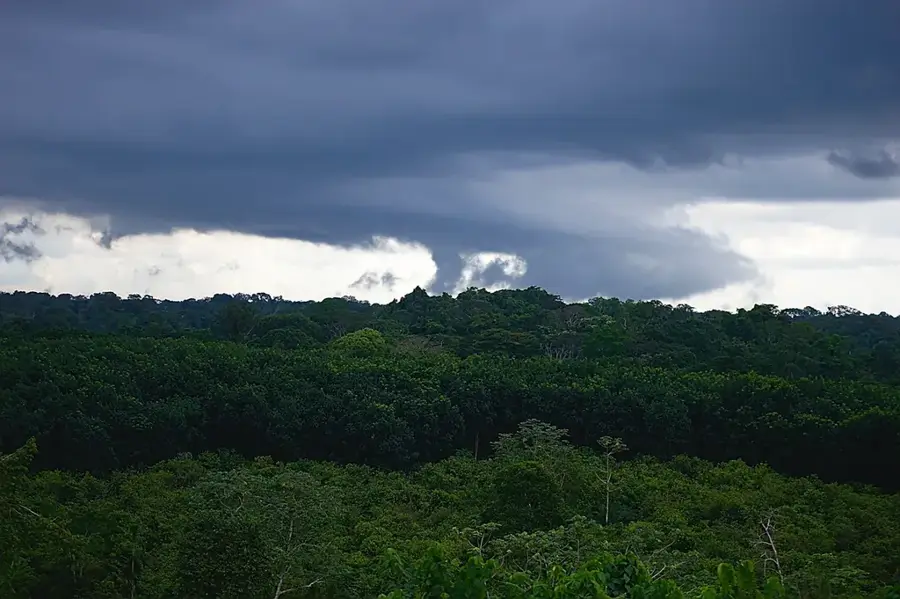 Ankasa-Nationalpark — Cape Three Points (Ghana)