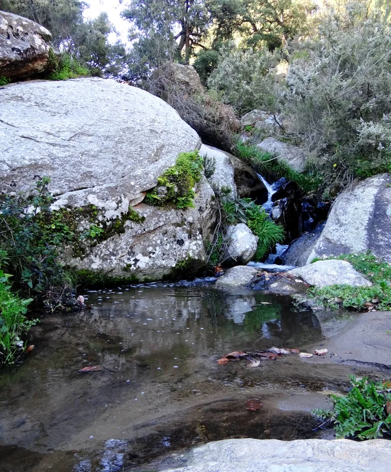 Annaba Umland — Skikda Obstbau (Algerien)