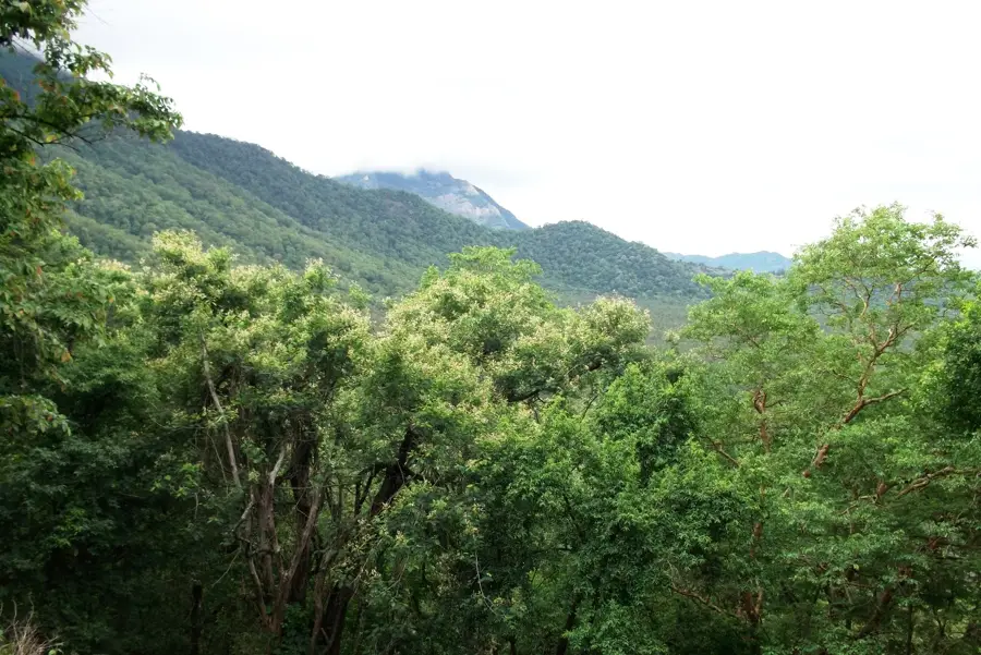 Annamalai Hills — Chennai Port (India)