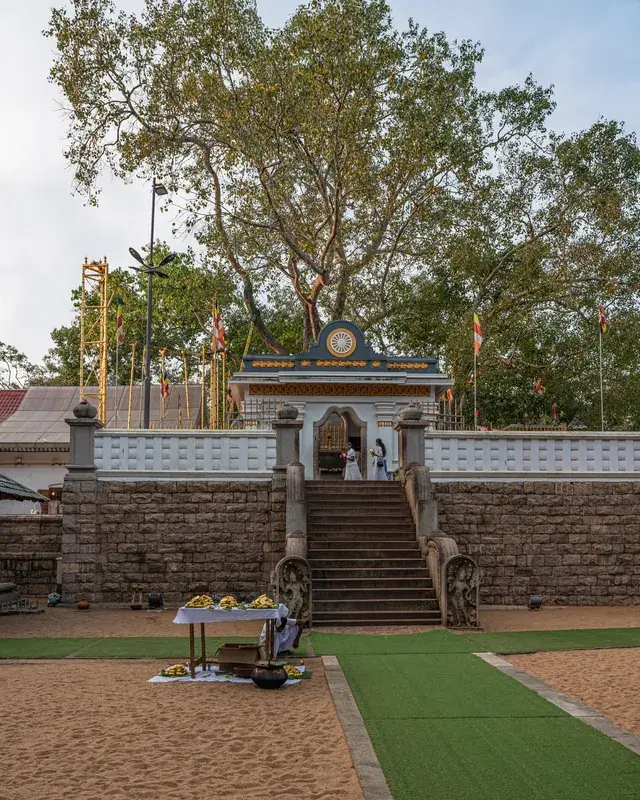 Anuradhapura szent városa — Pinnawala Szabadtéri Állatkert (Srí Lanka)