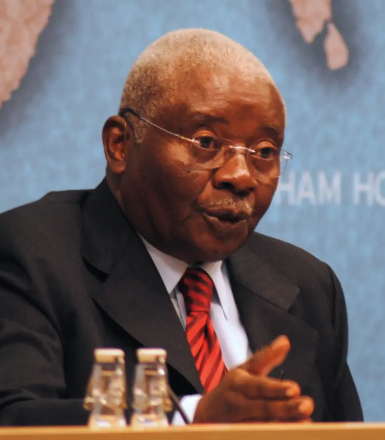 Podul Armando Emílio Guebuza — Nhamatanda (Mozambic)