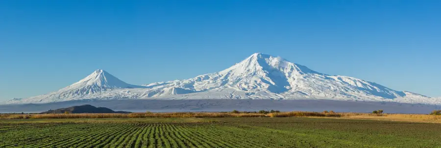 Weinberge des Ararat-Tals — Araratebene (Armenien)