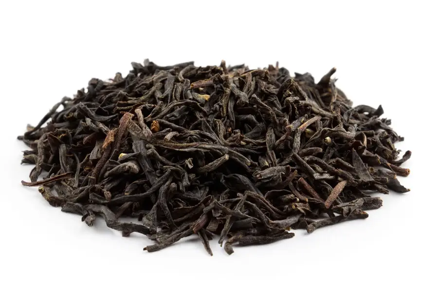 Teeplantagen von Assam — Brahmaputra (Indien)