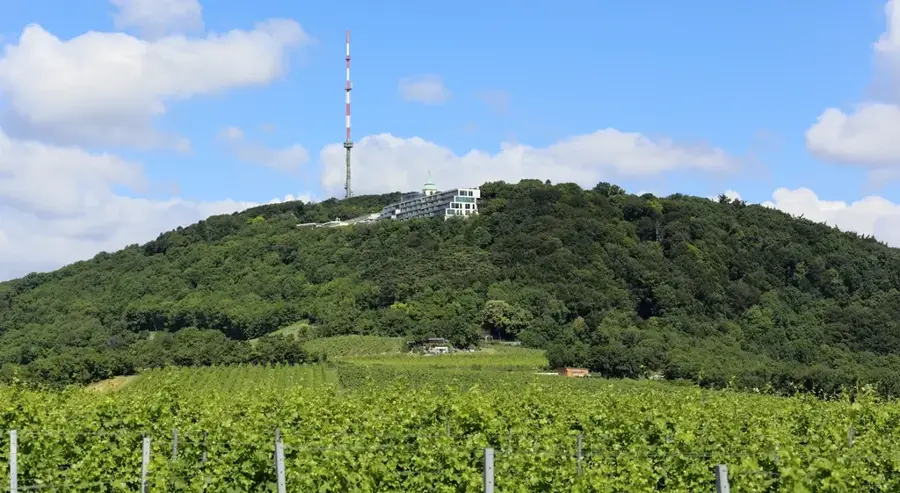 Kahlenberg — Aggstein Castle (Austria)
