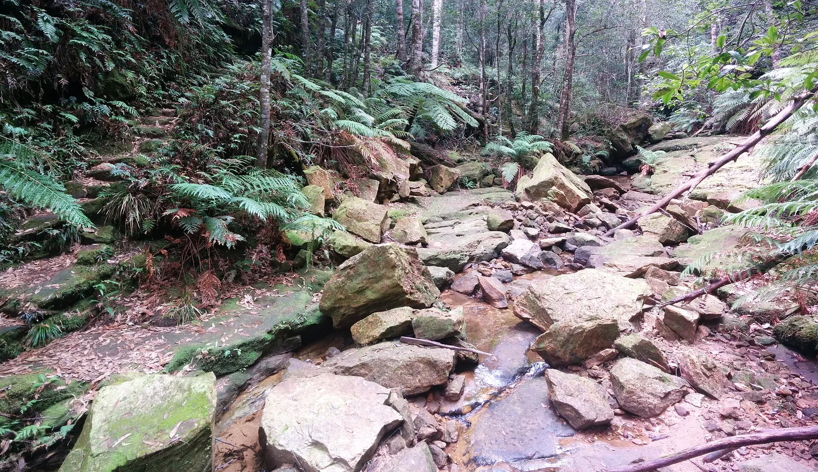 Blue Mountains