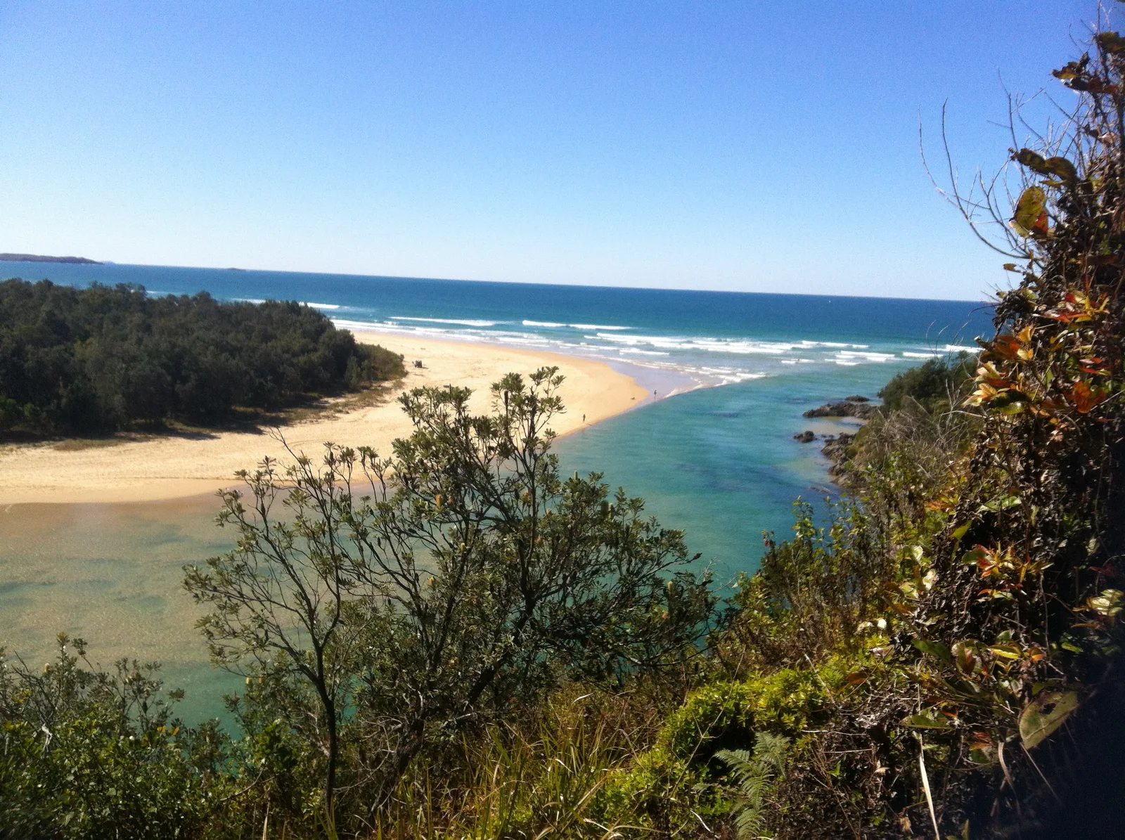 Boambee East