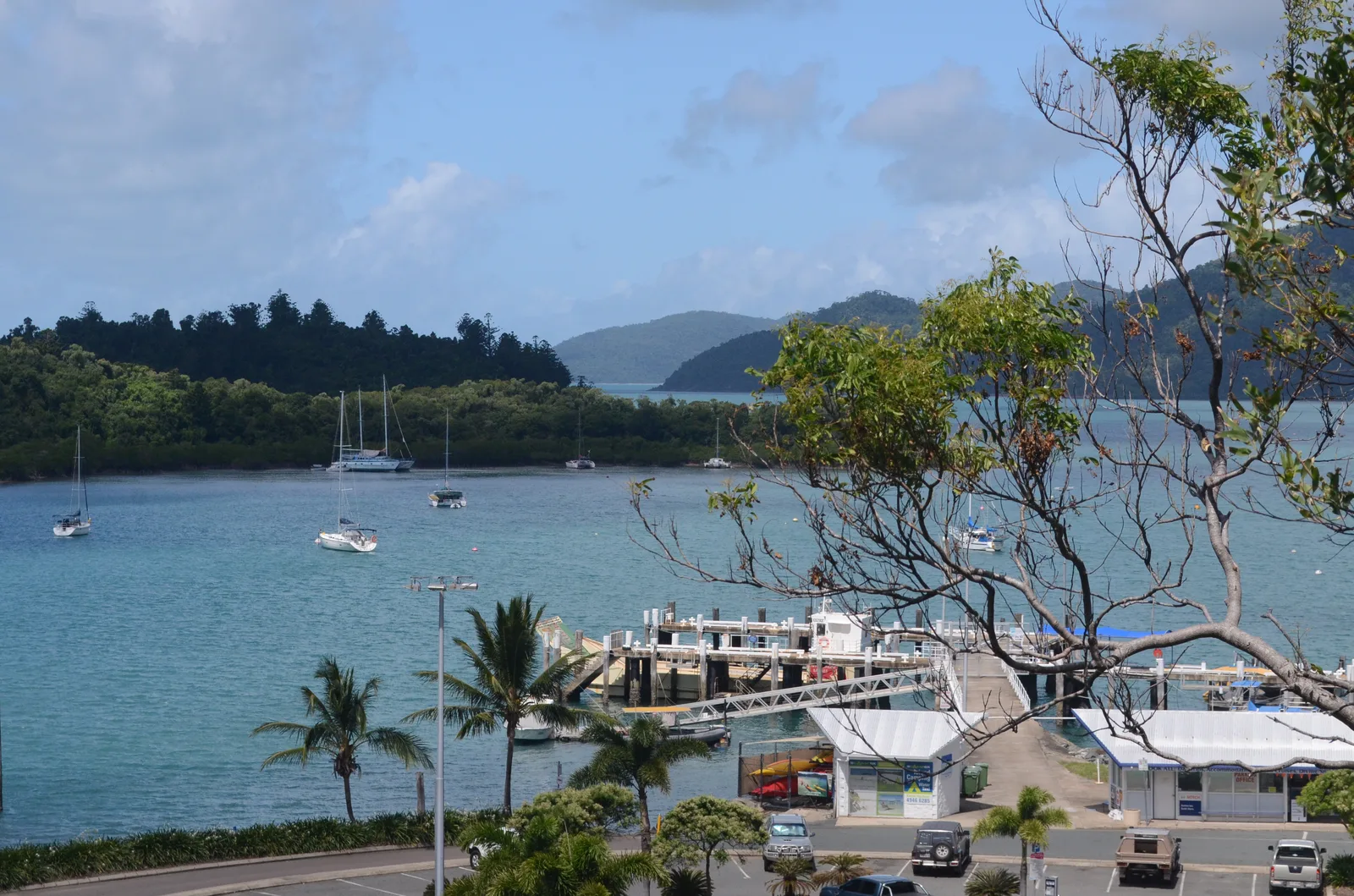 Shute Harbour