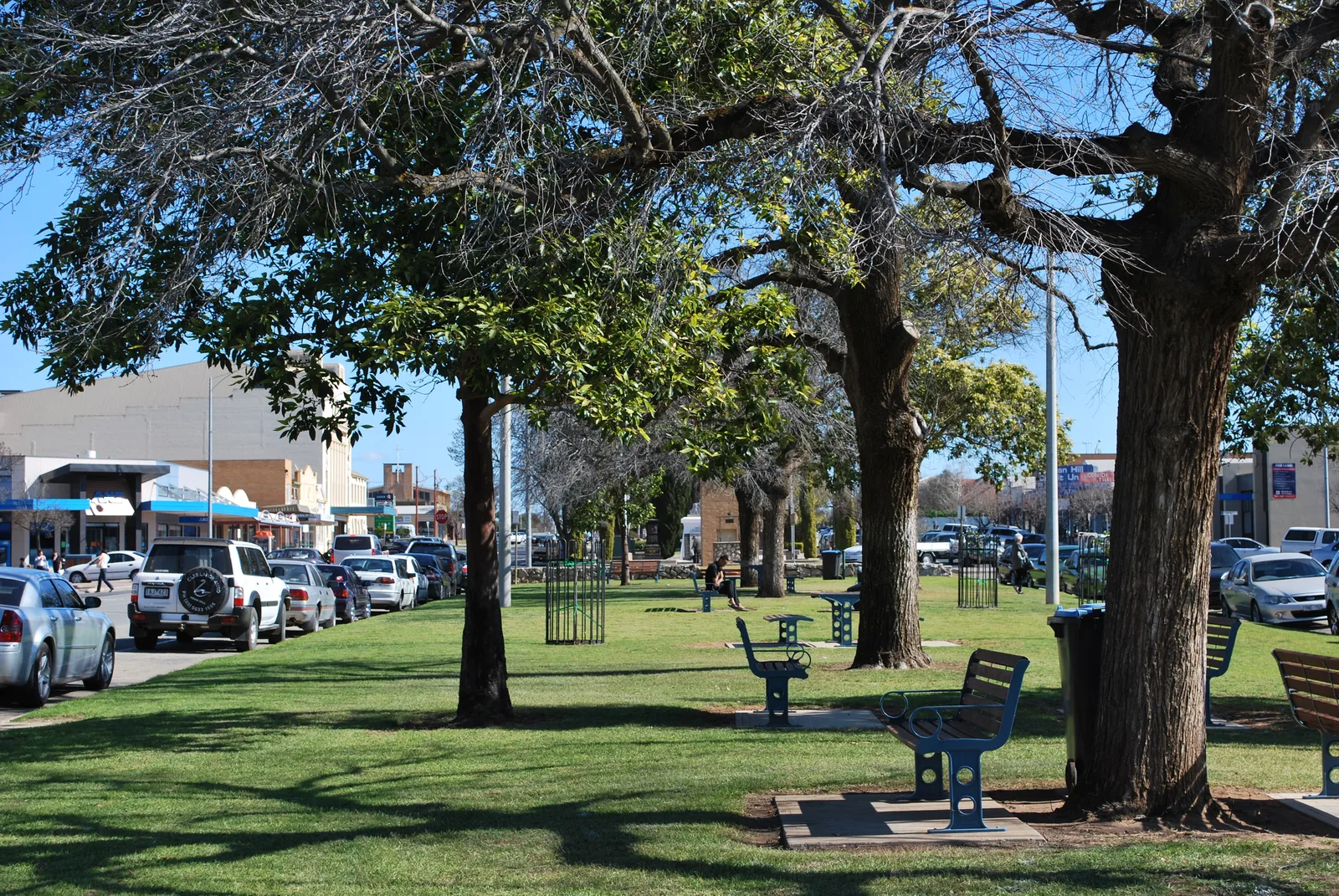 Swan Hill (Australien)