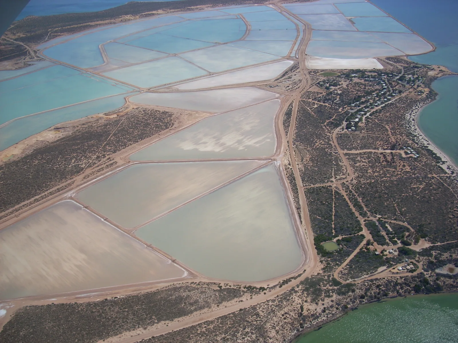 Useless Loop (Australien)