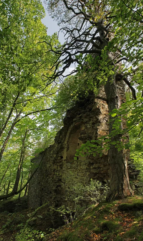 Burgruine Steinegg — Slavonice Untergrund (Tschechien)