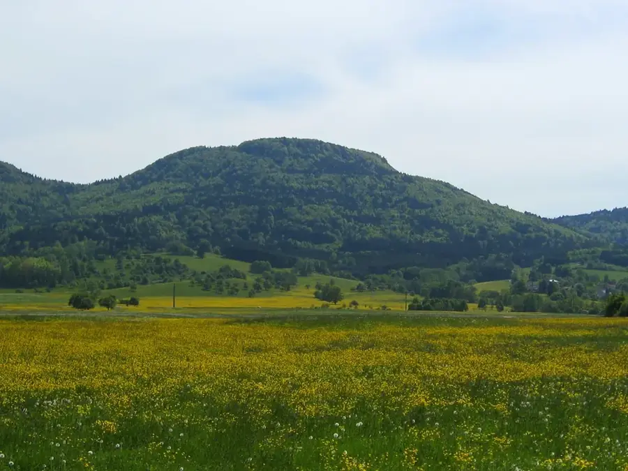 Schafberg – munte