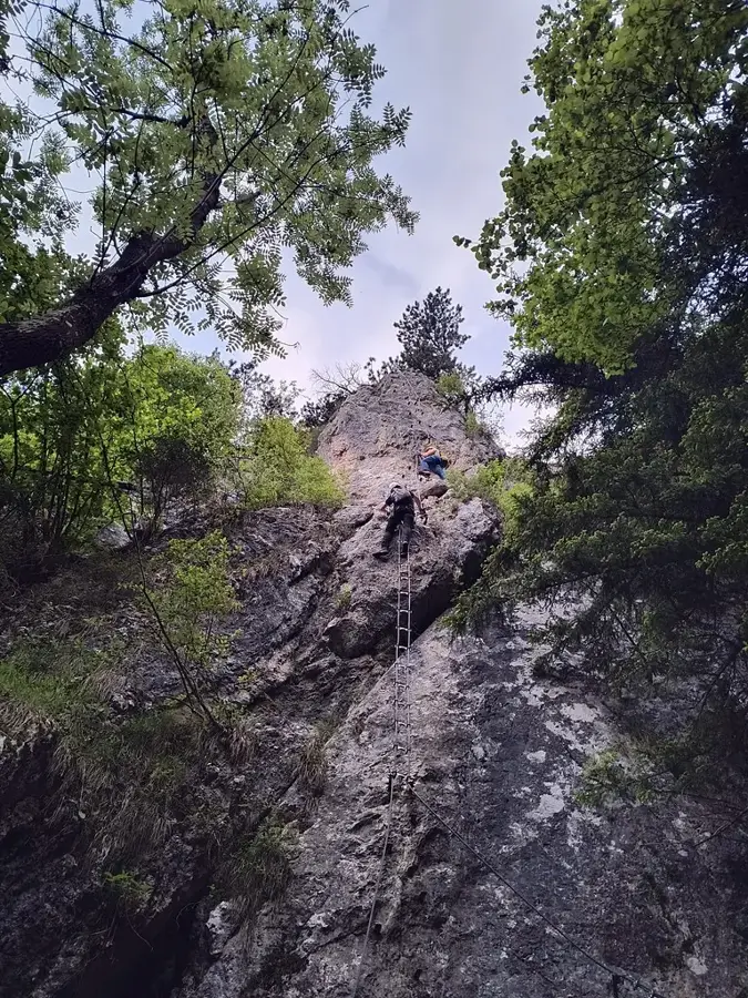 Ruinele castelului Muthmannsdorf — Cetatea Forchtenstein (Austria)