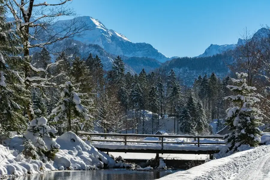 Parcul de animale sălbatice Cumberland — Gmunden (Austria)