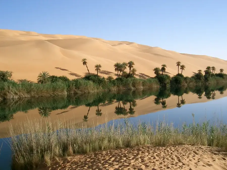 Awbari