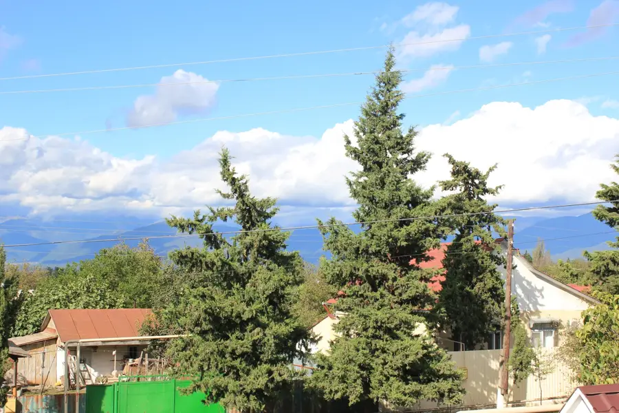 Ivanovka