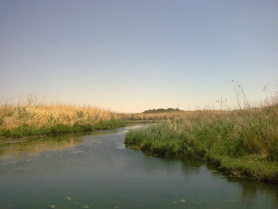 Azraq Wetland Reserve — Zarqa (Jordan)