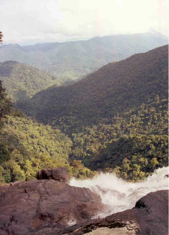 Bạch-Mã-Nationalpark — Kon Tum (Vietnam)