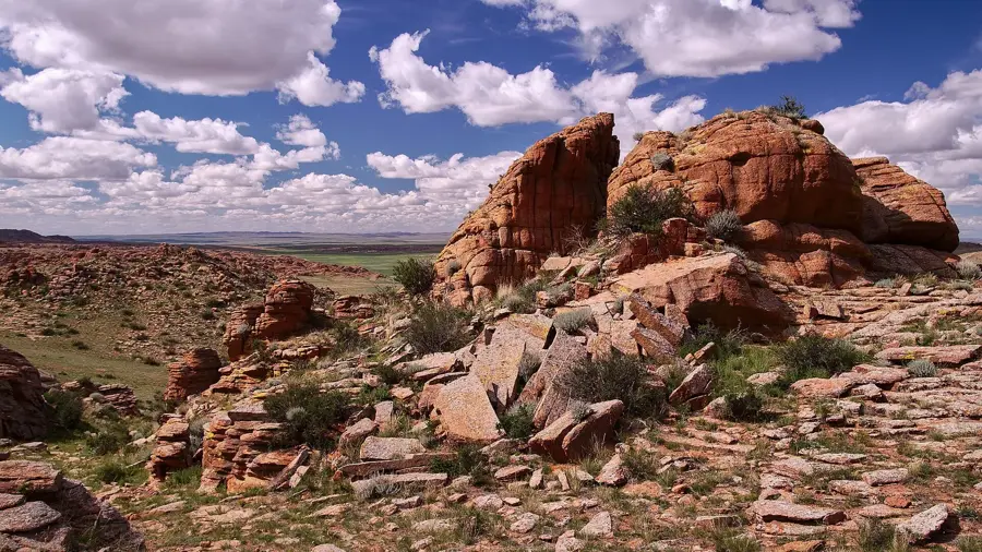 Baga Gazriin Chuluu — Versteinerter Wald von Suikhent (Mongolei)