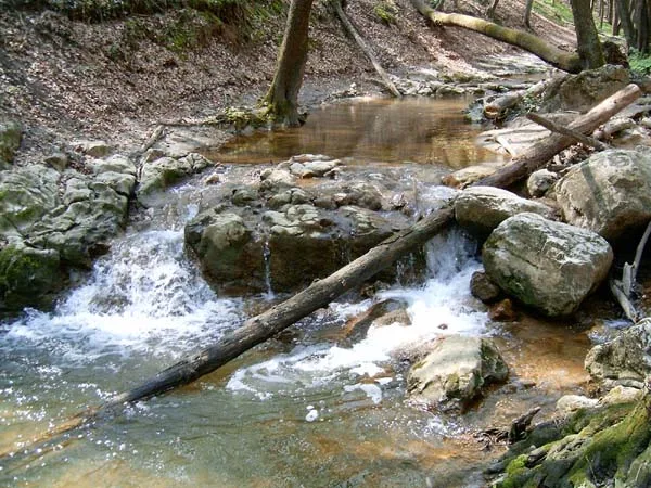 Bakonynána — Herend (Magyarország)