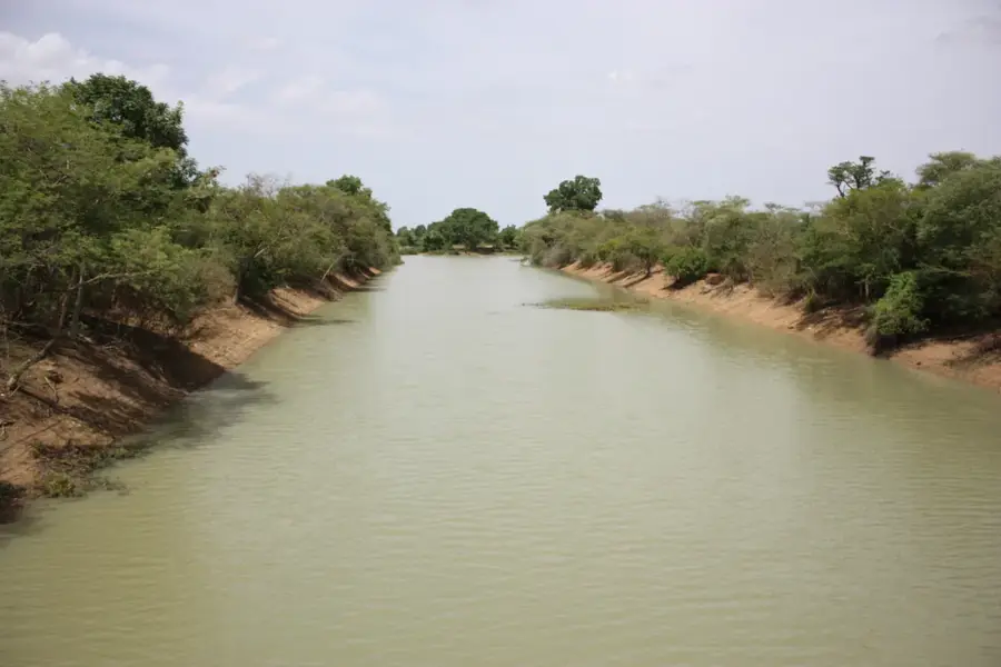 Balé Forest — Diébougou (Burkina Faso)