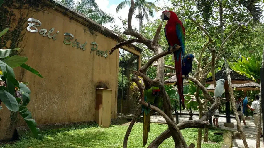 Bali Vogelpark