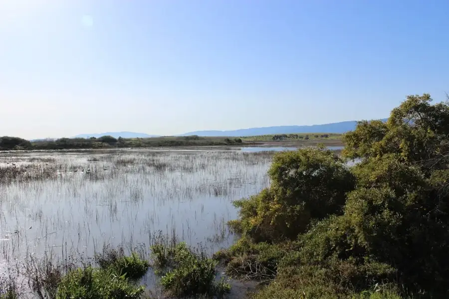 Feuchtgebiete Bañados del Este — Lascano (Uruguay)