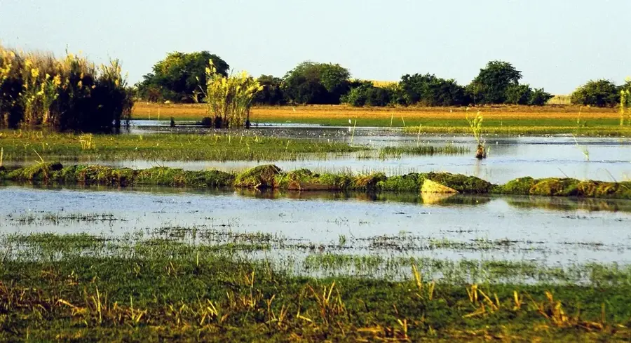 Bangweulusümpfe (Sambia)