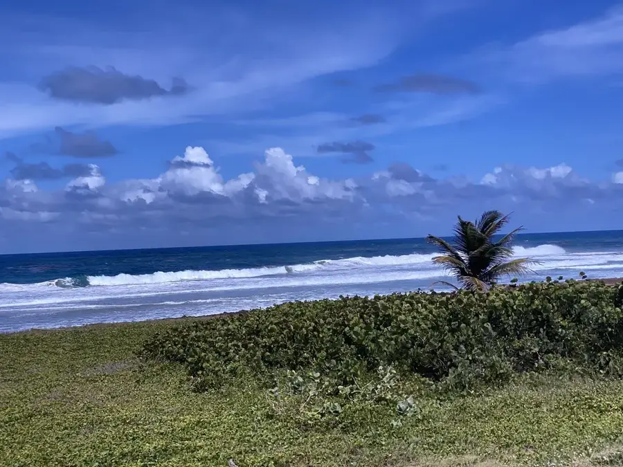 Shorey Village
