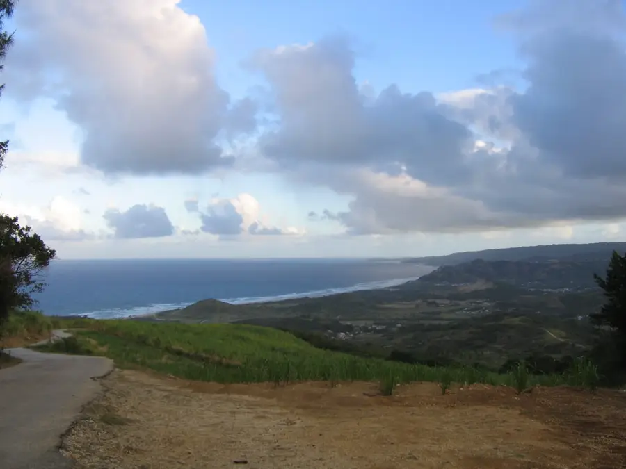 Cherry Tree Hill