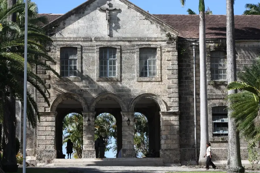 Codrington-erdő