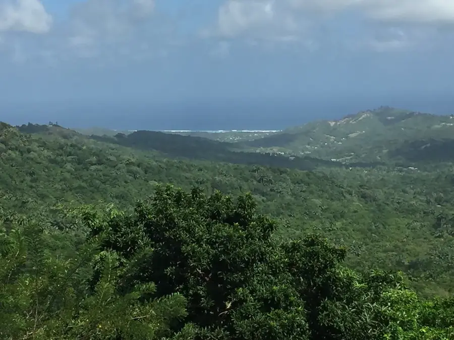 Welchman Hall — Foul Bay (Barbados)