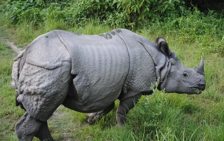 Bardiya-Nationalpark — Karnali (Nepal)