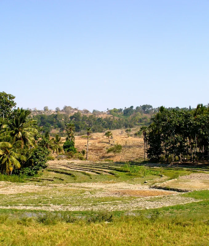 Baucau