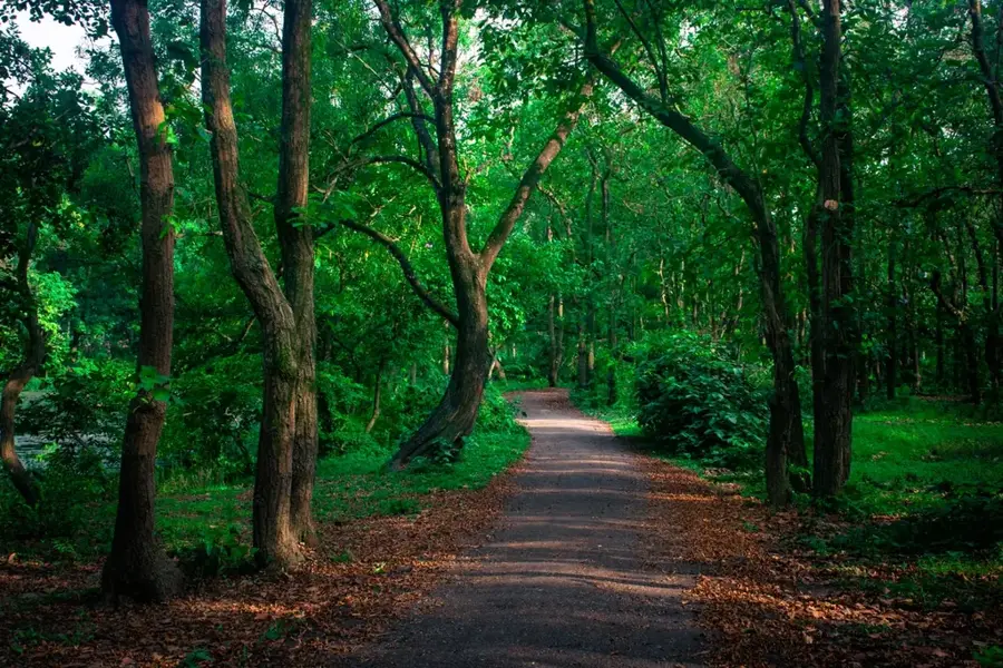 Bhawal-Nationalpark — Meghna (Bangladesch)