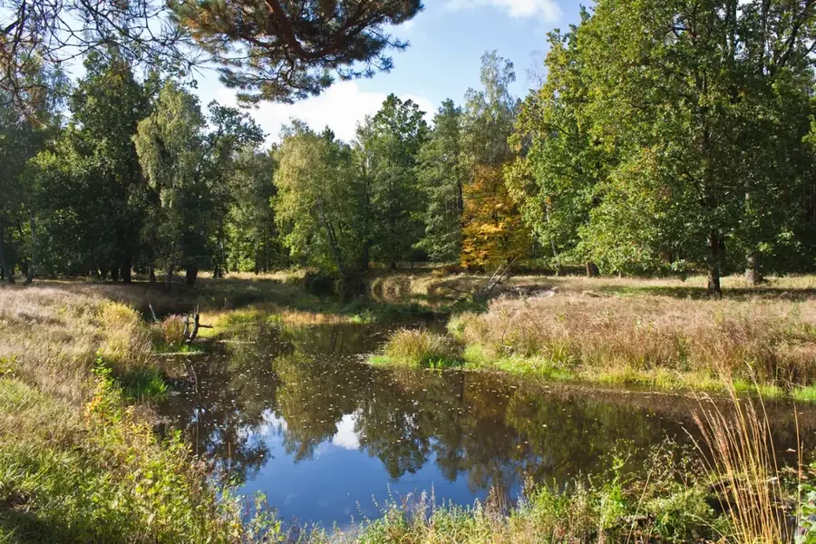 Stolin Lowland