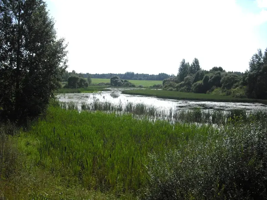 Talatschyn
