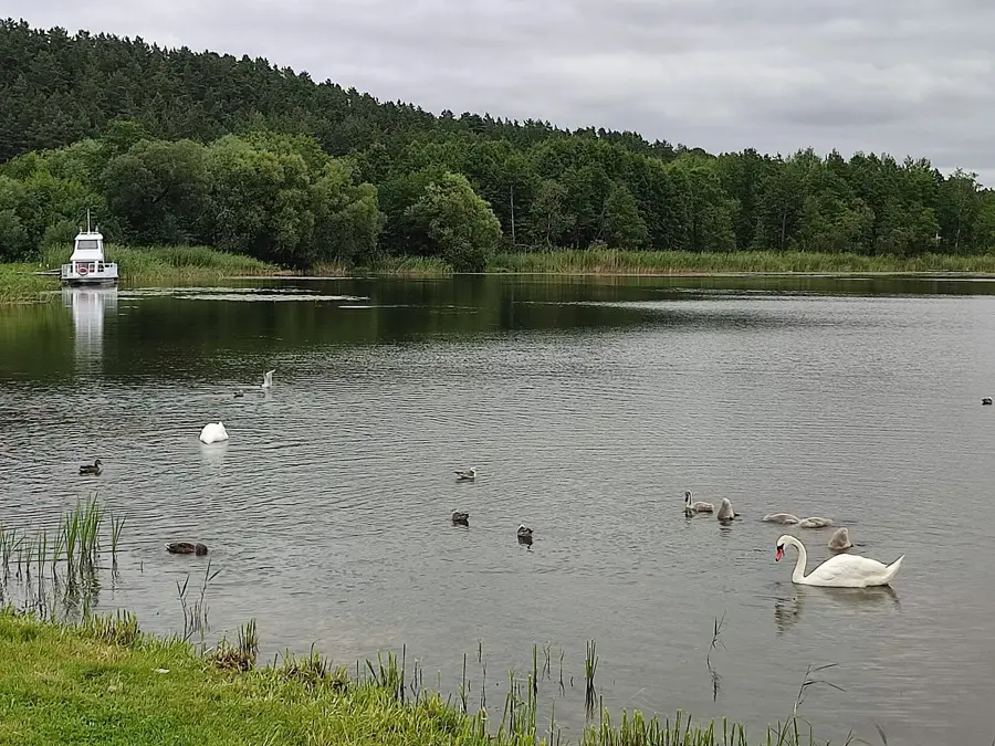 Lacul Vyalikaye (Braslau)
