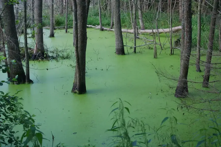 Vygonoshchanskoye Landscape Reserve