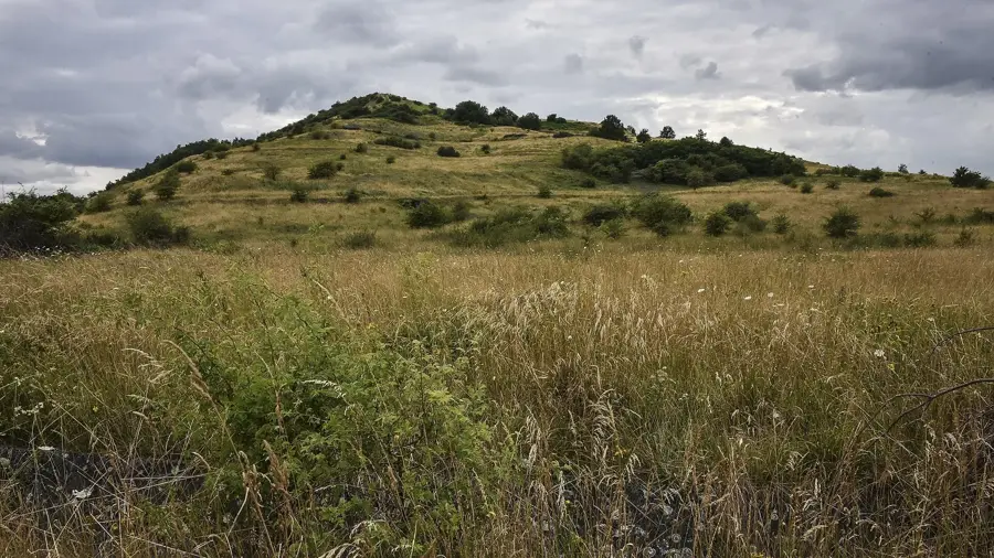 Beringein Coal Mine Site