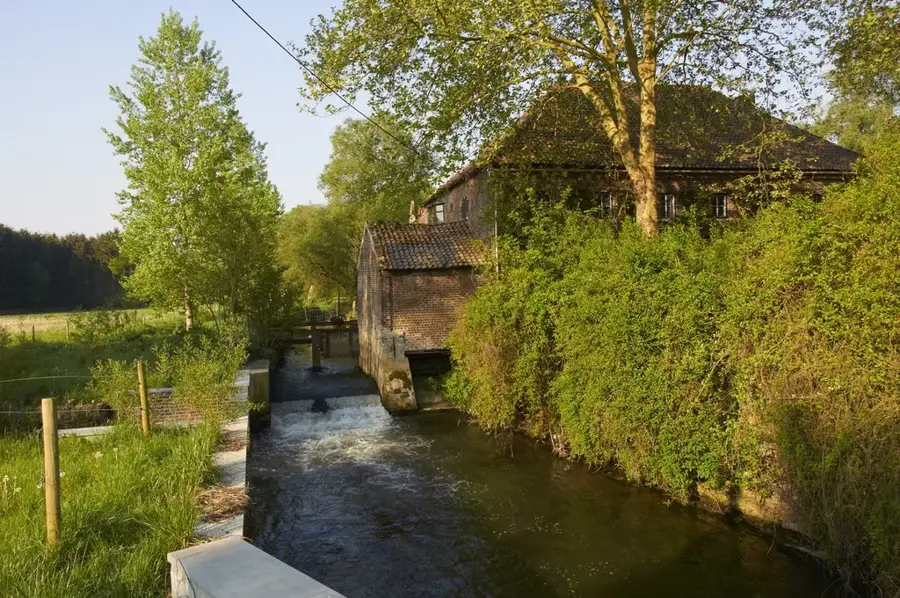 Dijle-Tal