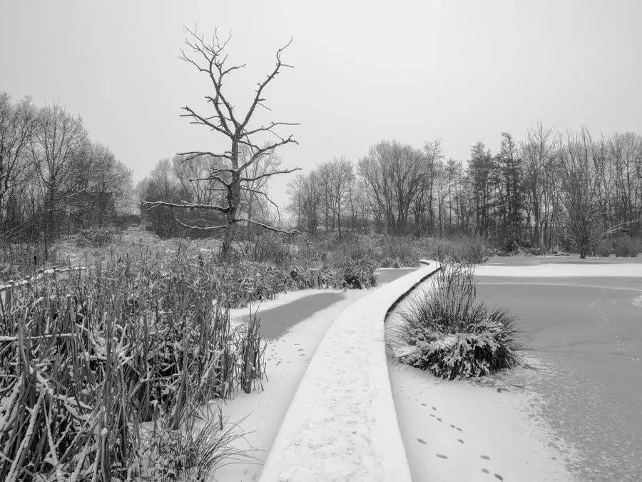 Provincial Domain Het Vinne