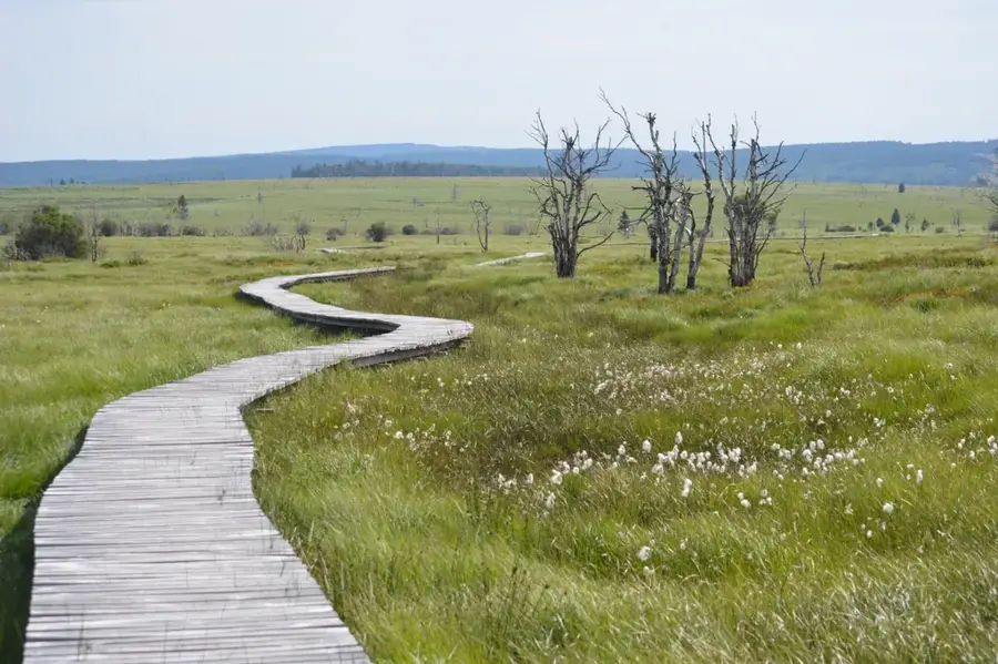High Fens