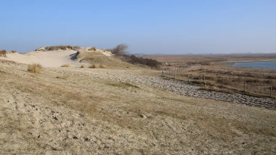 Zwin Dunes and Polders