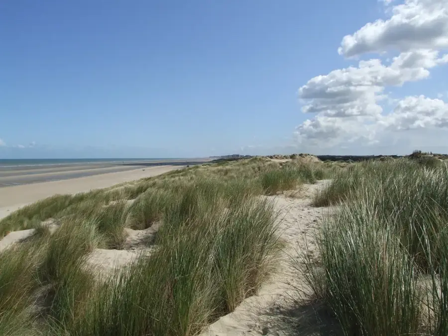 Westhoek Dunes