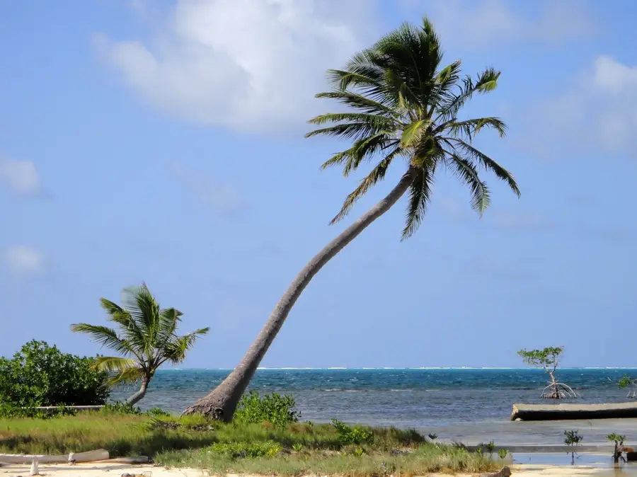 Turneffe Atoll — Caribbean Sea (Belize) (Belize)