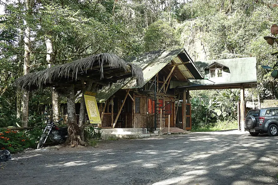 Bellavista Nebelwaldreservat — Tulipe (Ecuador)