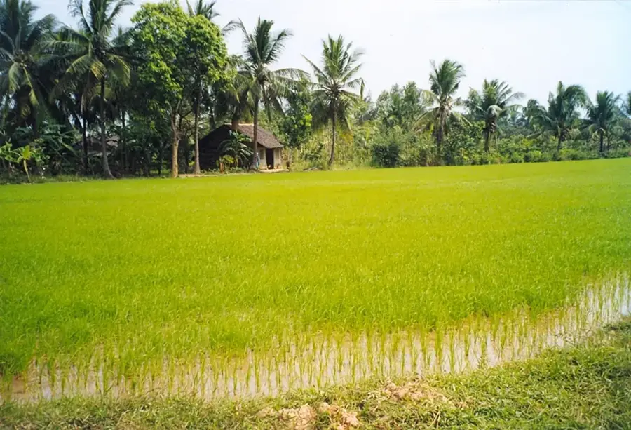 Bến Tre — Bạc Liêu (Vietnam)